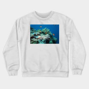 coral reef with fishes Crewneck Sweatshirt